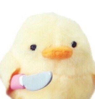 칼든병아리는 어디서 시작했을까 | 인스티즈