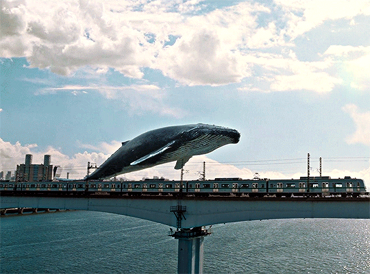 [이상한변호사우영우] 오늘 회사에 신입 받았는데 신입이 자폐야.......... | 인스티즈