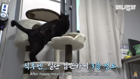 밤낮없이 집 도어락을 누르는 누군가때문에 고민인 부부 | 인스티즈