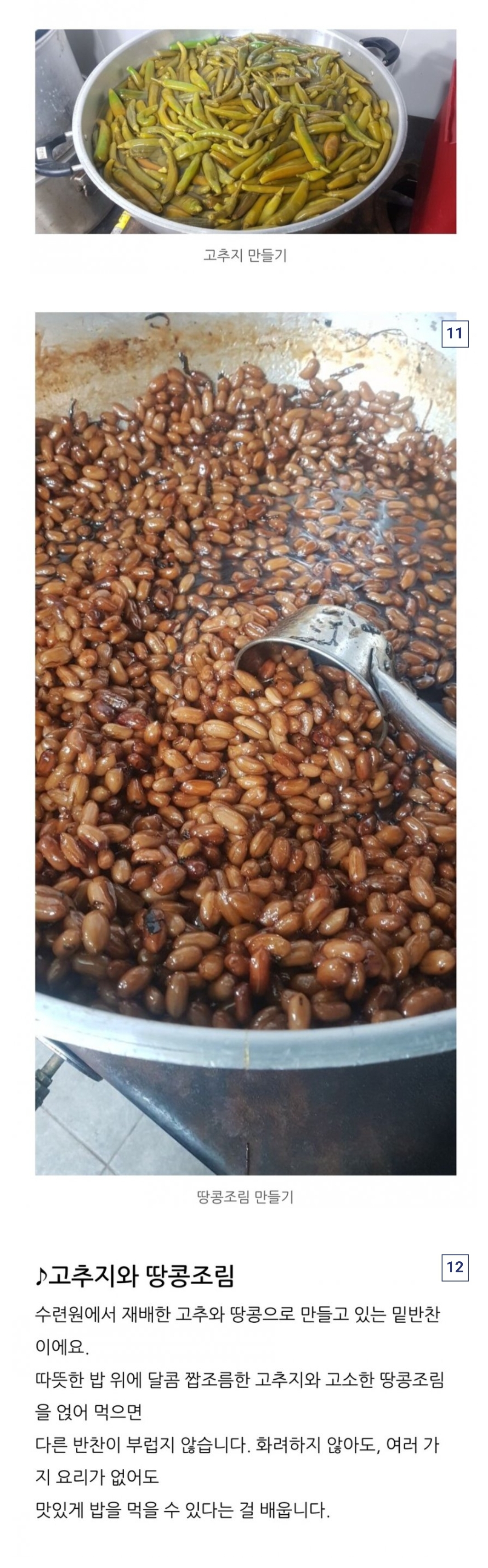 요즘 사찰에서 만들어 먹는 절밥 퀄리티 수준.jpg | 인스티즈