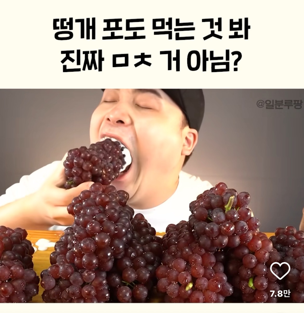 떵개 아카이브 만드는 달글 | 인스티즈