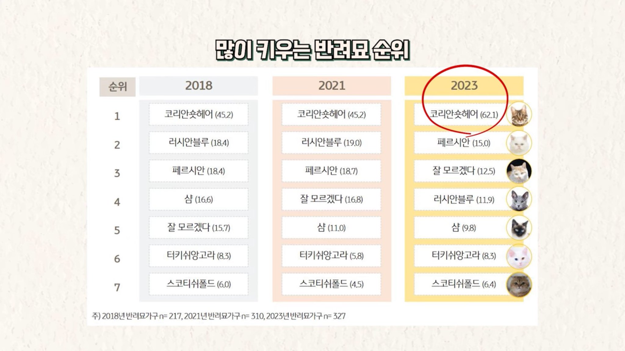 국내에서 많이 키우는 반려묘 순위.jpg | 인스티즈