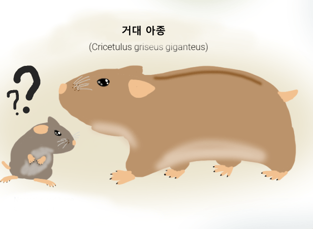 햄스터가 외계행성의 지배자가된 세계관 | 인스티즈