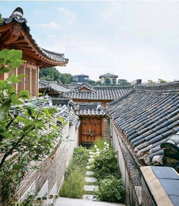 일테토 이미지