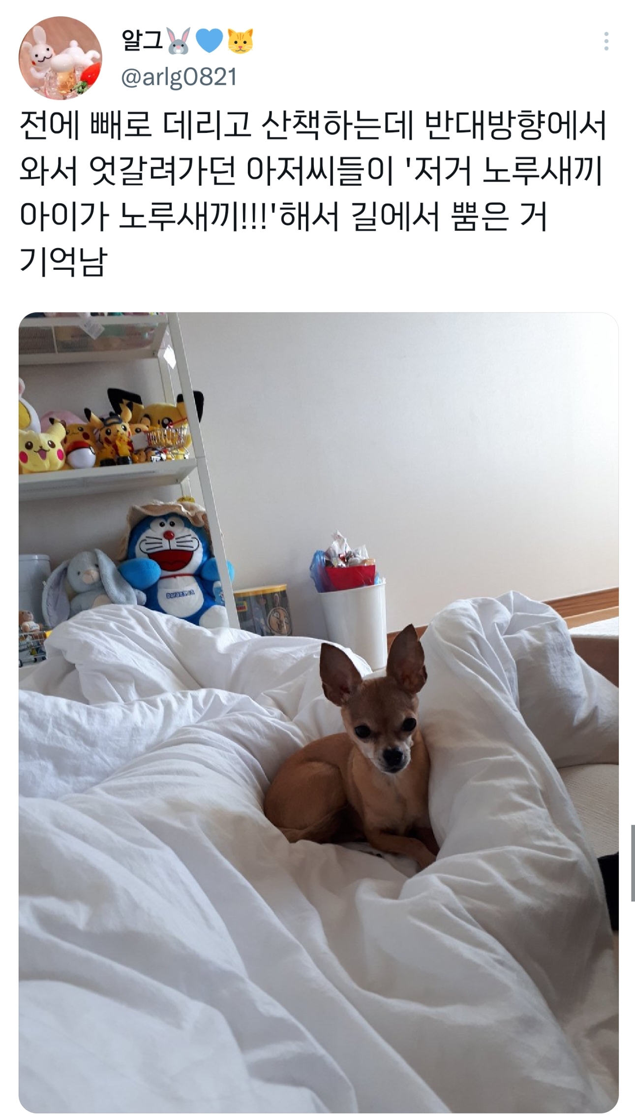 순수하게 동물을 좋아하지만 잘 모르는 사람들.twt | 인스티즈