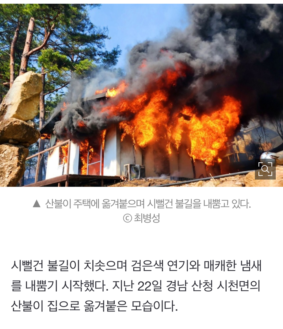 산불 발화지점 가보고 깜짝 놀랐다, 대형산불의 진짜 원인 [최병성 리포트] | 인스티즈
