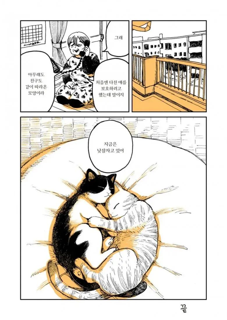 고양이 두마리 | 인스티즈
