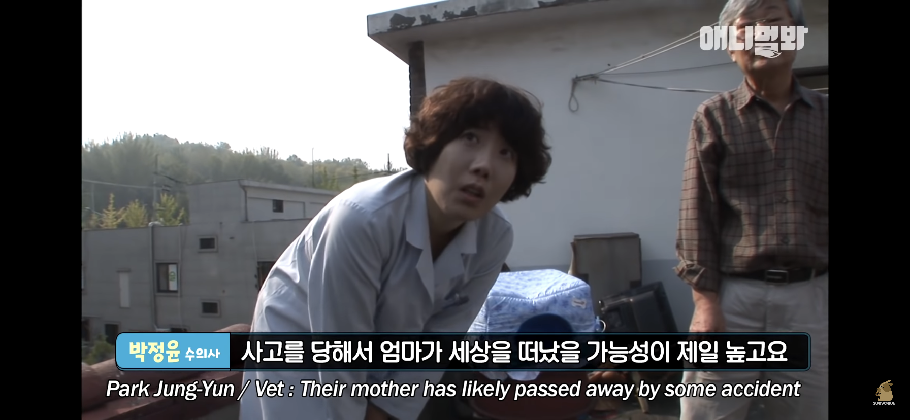 길고양이 목에 쪽지를 달자 생긴 영화같은 일 | 인스티즈