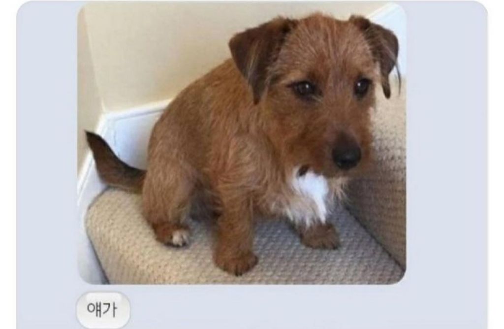 누가봐도 얘가 얘 낳음 | 인스티즈