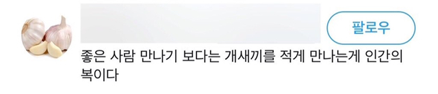 삶은 가질 수도 버릴 수도 없으니 공백 사이의 글이라도 갖겠다 | 인스티즈