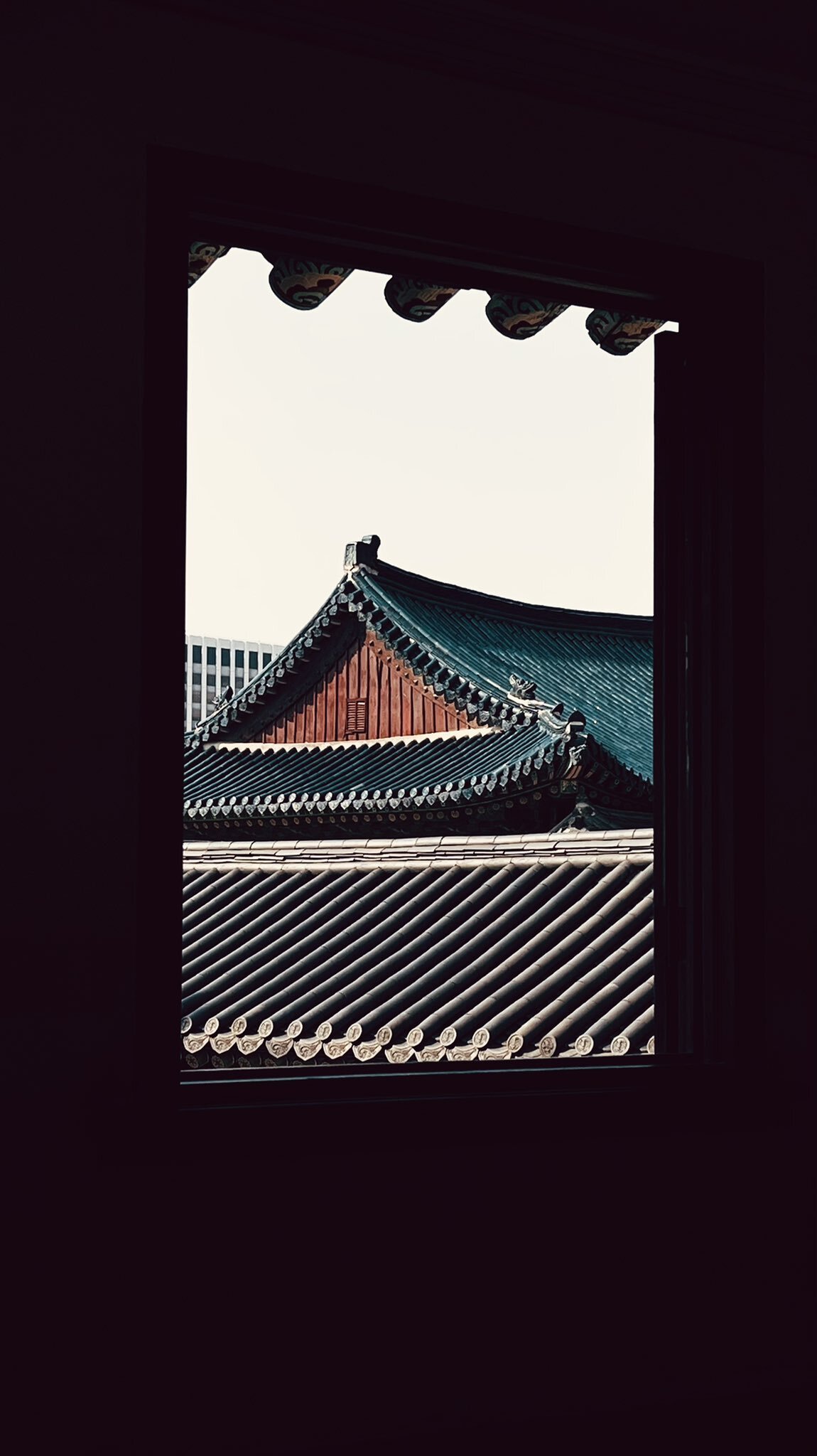 올해 가장 예뻤던 우리나라 문화재 사진 모음.twt | 인스티즈