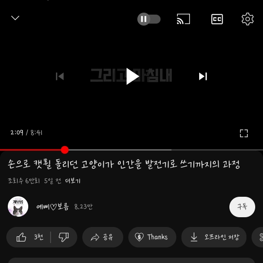 어느 고양이가 캣휠 타는법을 배워가는 과정 | 인스티즈