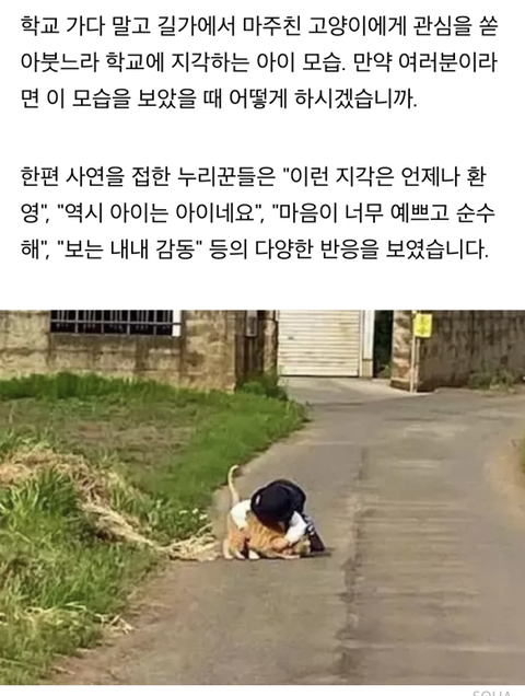 학교에 매일 같이 지각한다는 선생님 말에 등교하는 아들 뒤따라갔던 엄마가 마주한 상황 | 인스티즈