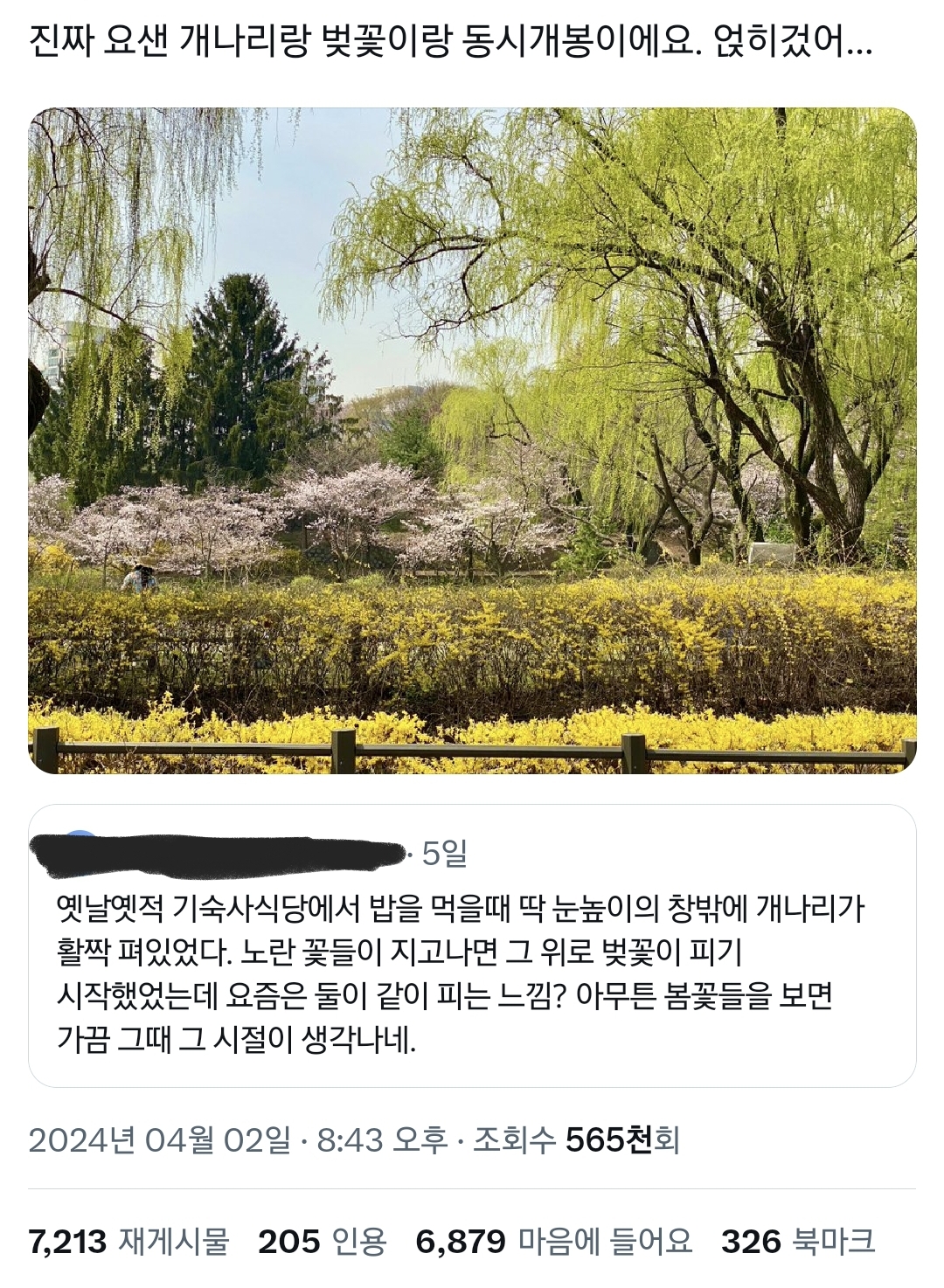 목련과 개나리와 벚꽃이 함께 피는 거 사실 이상한 건데 다들 익숙해진 듯.twt | 인스티즈