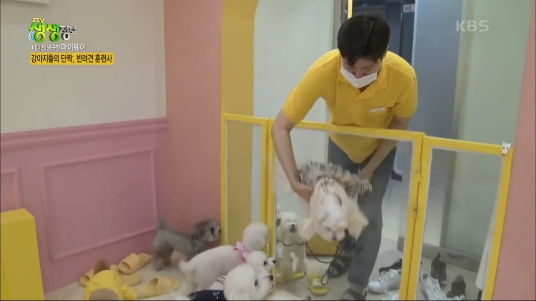 강아지 유치원.jpg | 인스티즈