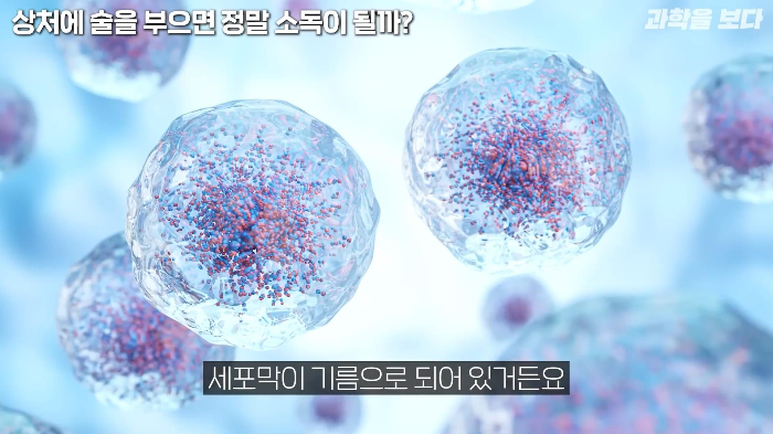 영화에서 보는 것 처럼 상처에 술을 부으면 소독이 되나요? | 인스티즈