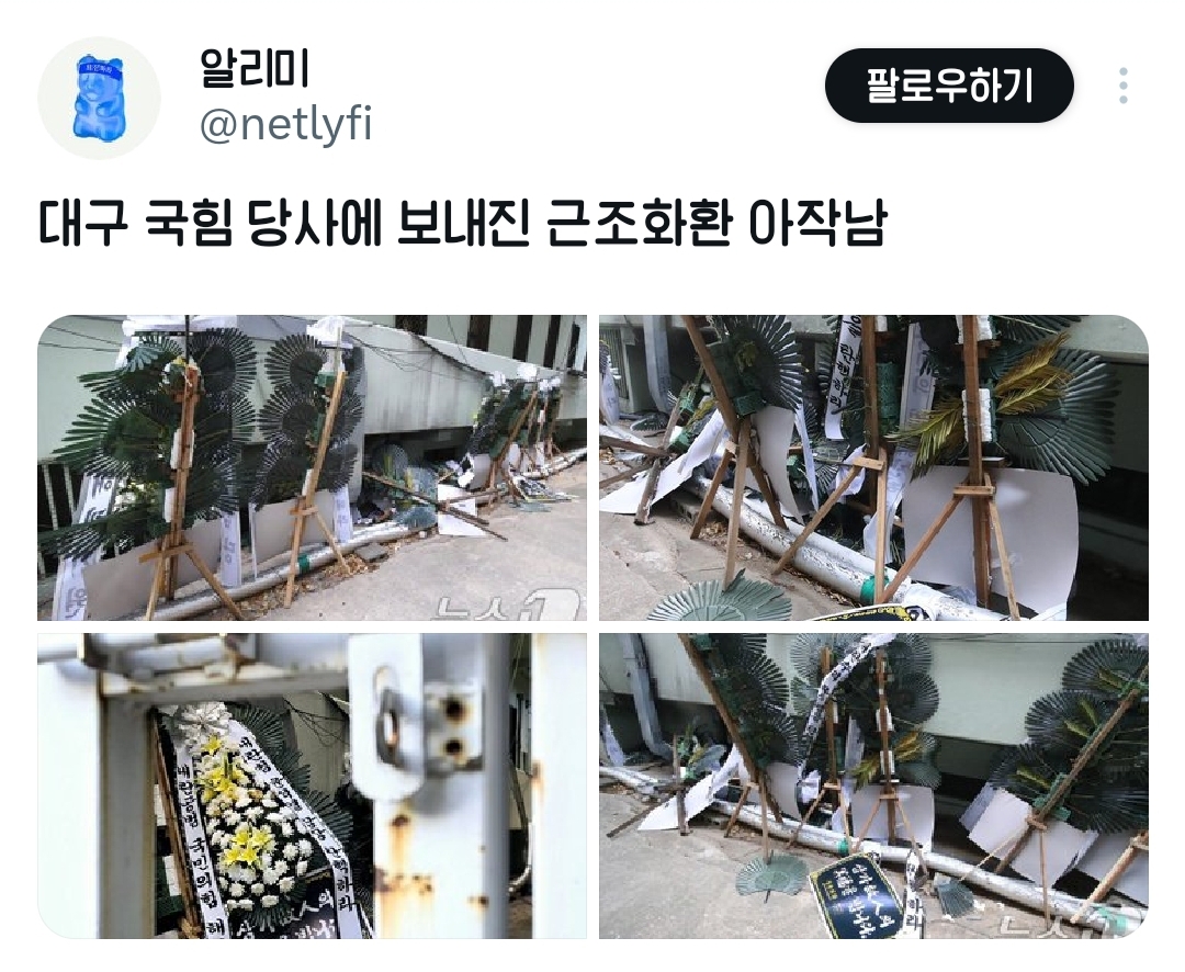 국민의짐 긁힌거에 피드백했다고 좋아하는 사람들 .twt | 인스티즈