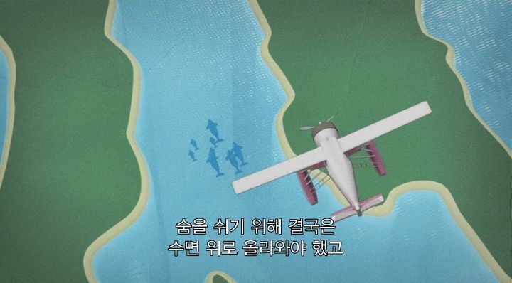 어느날 소방서에 고래가 조련사를 잡아 먹었다는 신고가 들어왔다 .jpg (스압주의) | 인스티즈