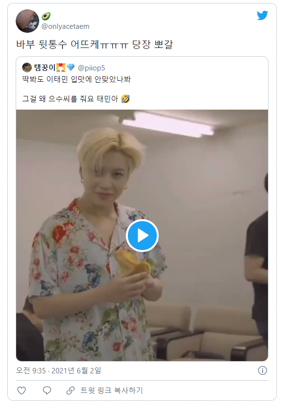 이 사람들이랑 한국어 대결해서 이기면 10억 준다, 이길 수 있다 vs 없다 | 인스티즈