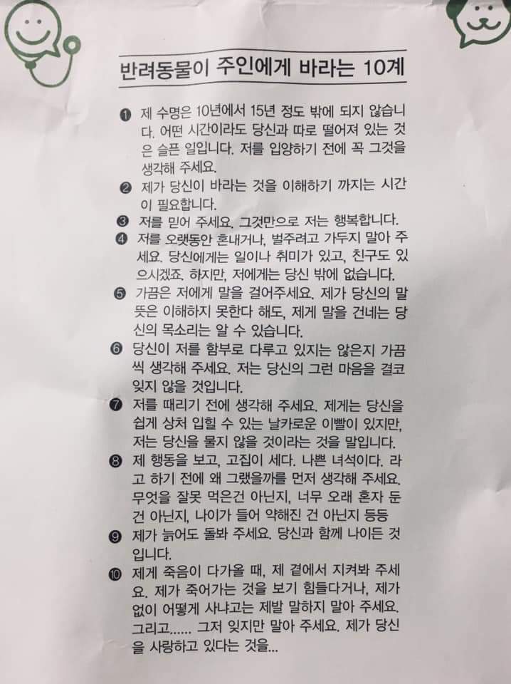 반려동물이 주인에게 바라는 10계 | 인스티즈