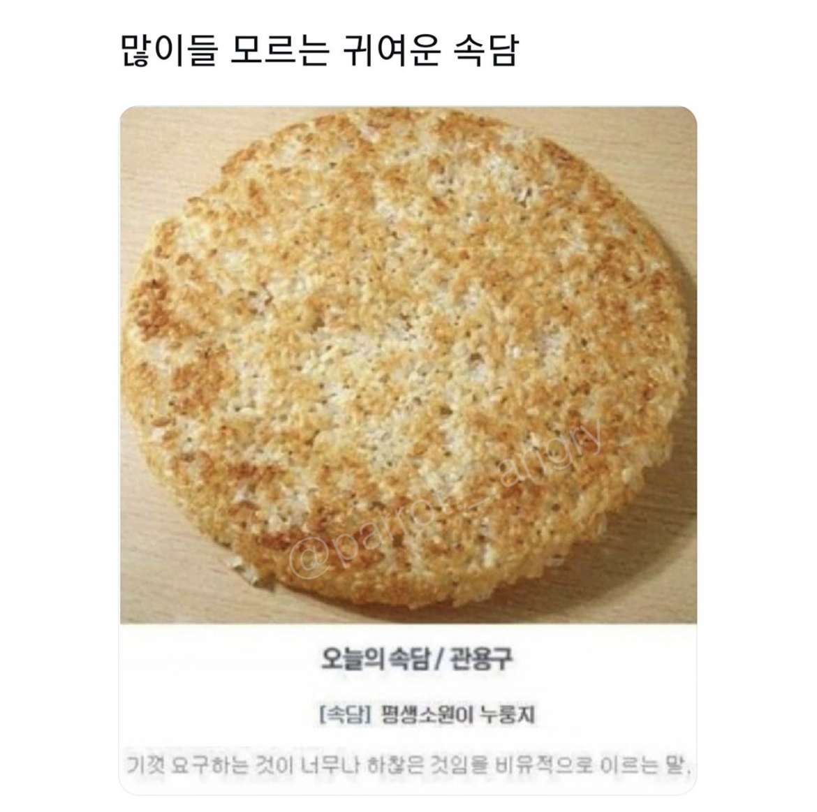 많이들 모르는 귀여운 속담 | 인스티즈