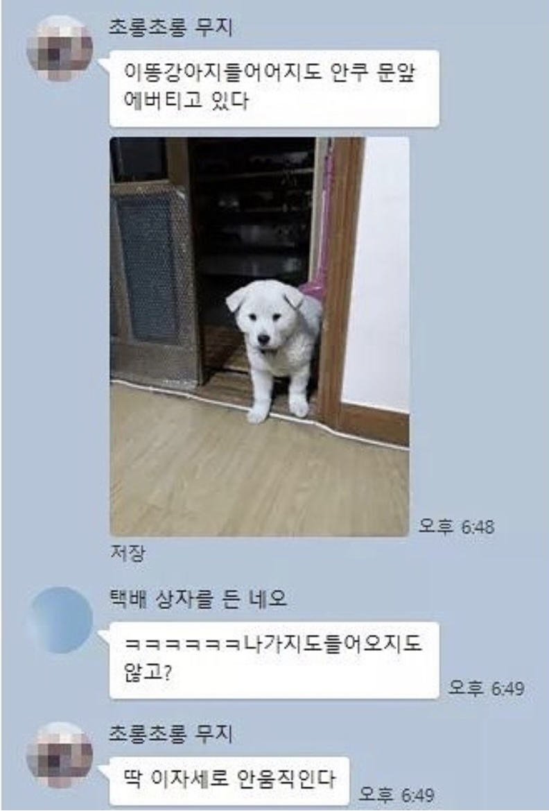 똥강아지 이미지