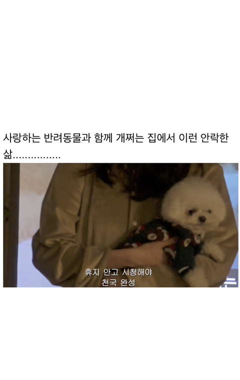 요즘 제일 부러운 싱글 여성의 삶.jpg | 인스티즈