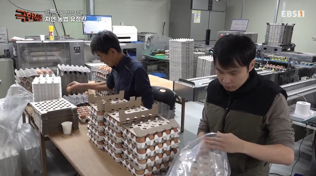 최소 두 달 대기라는 계란 구독 서비스 | 인스티즈