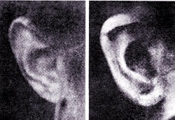 러시아의 마지막 황녀 아나스타샤 | 인스티즈