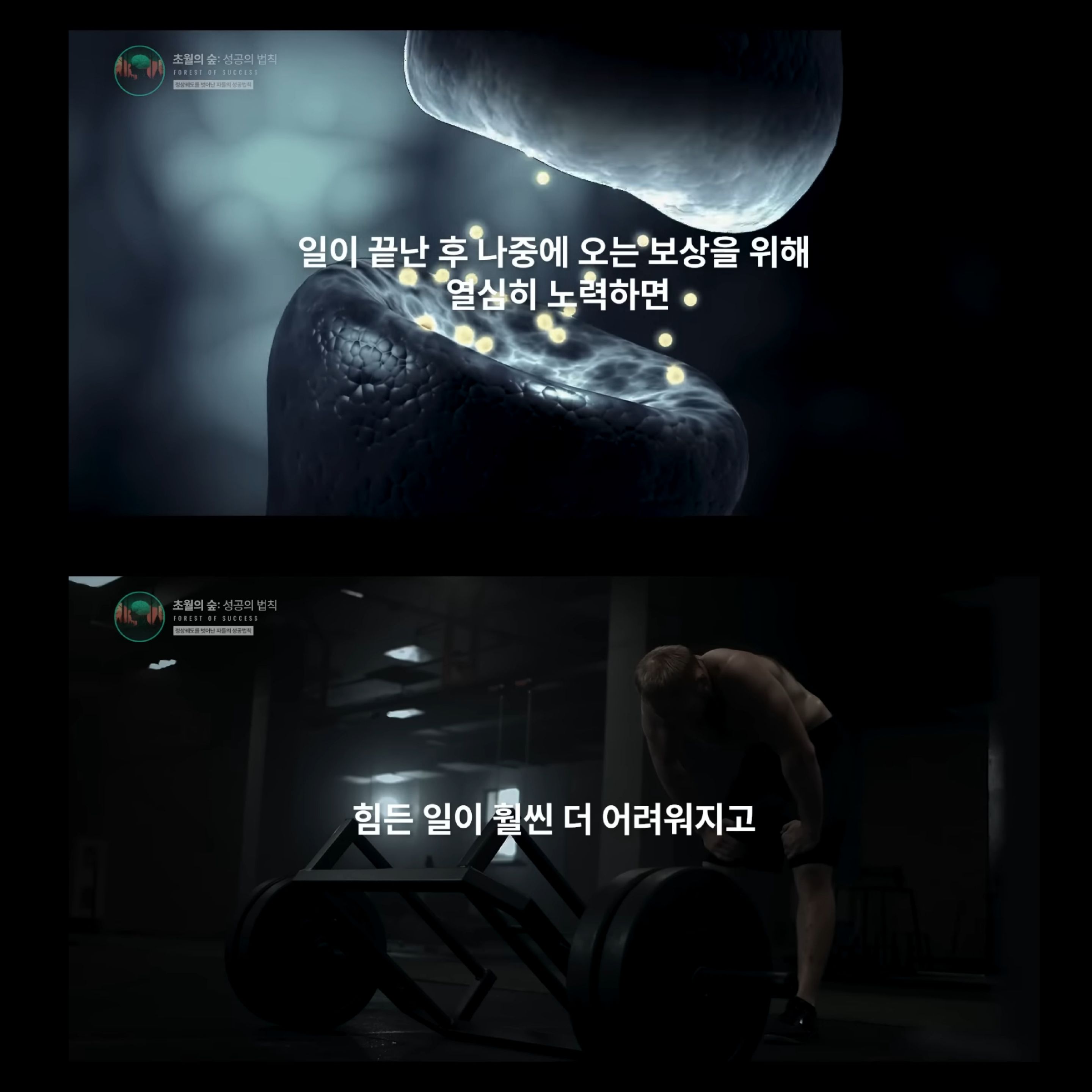 도파민 중독인 내가 도파민을 조절해 원하는 것을 이룰 수 있다고? | 인스티즈