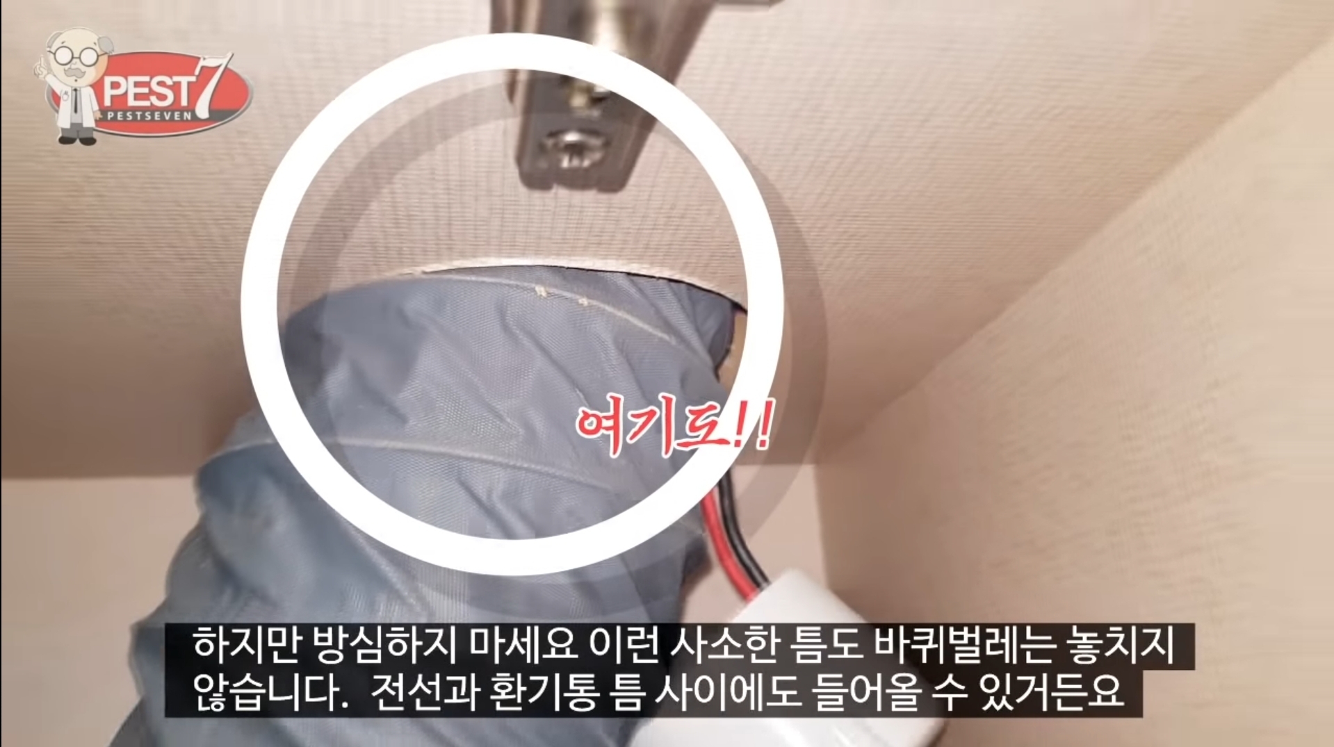 원룸 바퀴벌레 주요 유입구(벌레사진주의) | 인스티즈