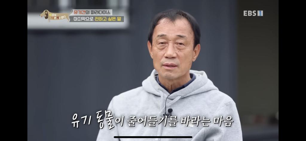 [세상에나쁜개는없다] 유기견의 파라다이스 | 인스티즈