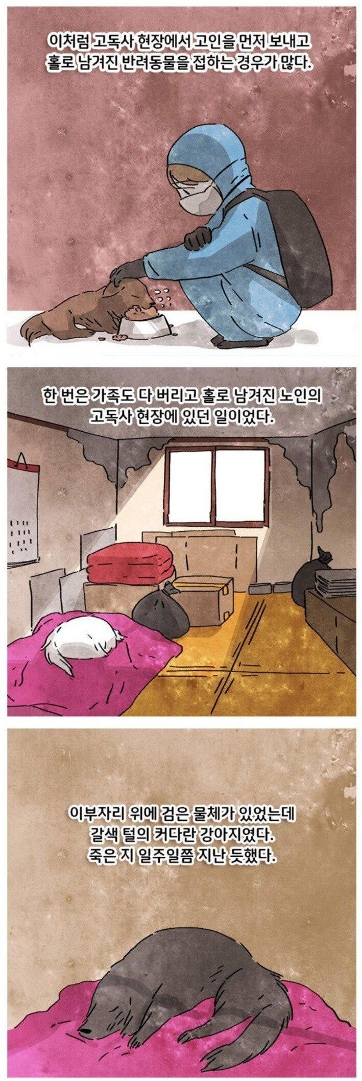 고독사 현장을 청소하는데 강아지가.toon | 인스티즈