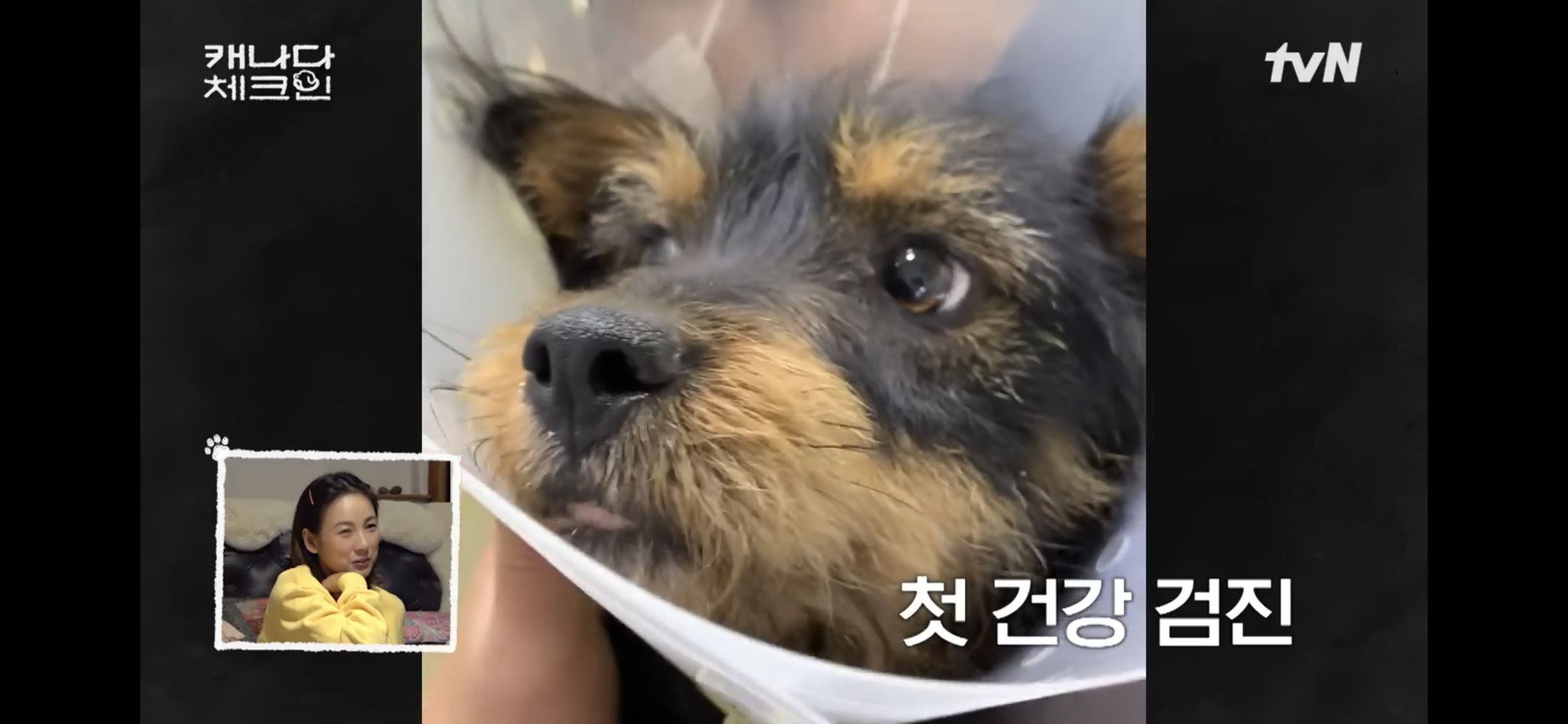 초조하게 누군가를 기다리는 이효리 | 인스티즈