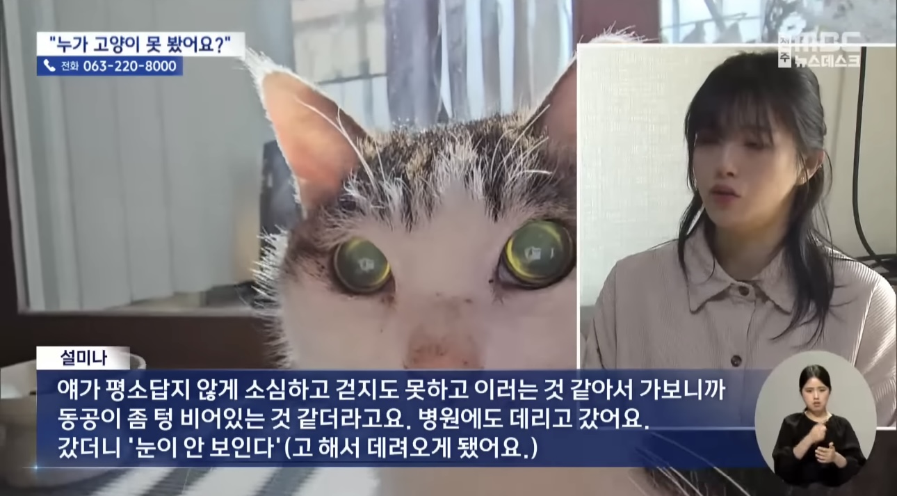 '눈먼 길고양이' 구조작전.. 훈훈한 쪽지 릴레이 | 인스티즈