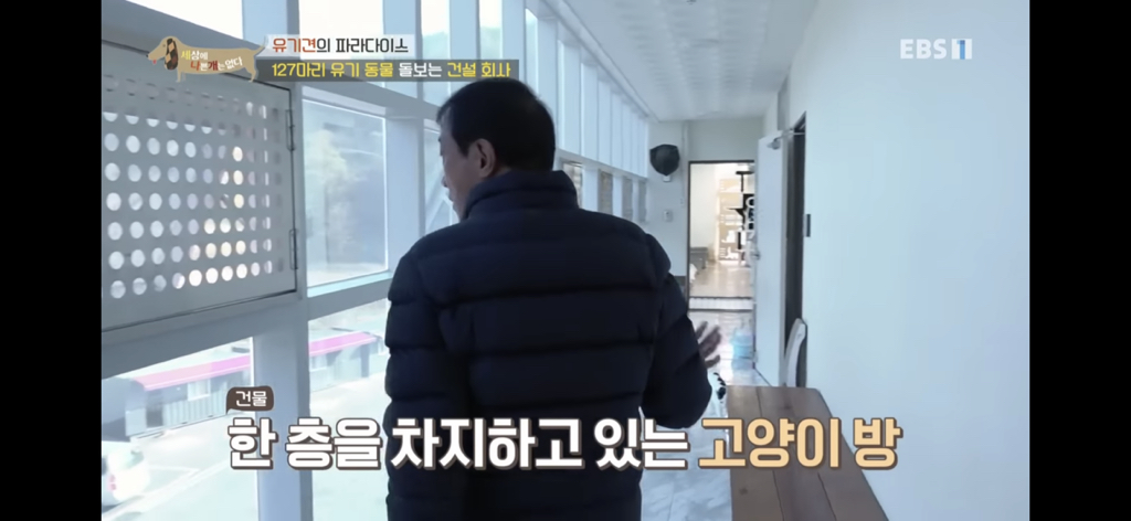 [세상에나쁜개는없다] 유기견의 파라다이스 | 인스티즈