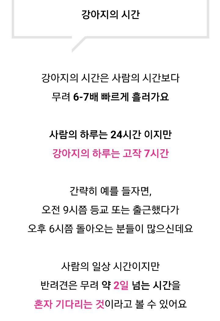 강아지의 시간...그리고 사람의 시간 | 인스티즈