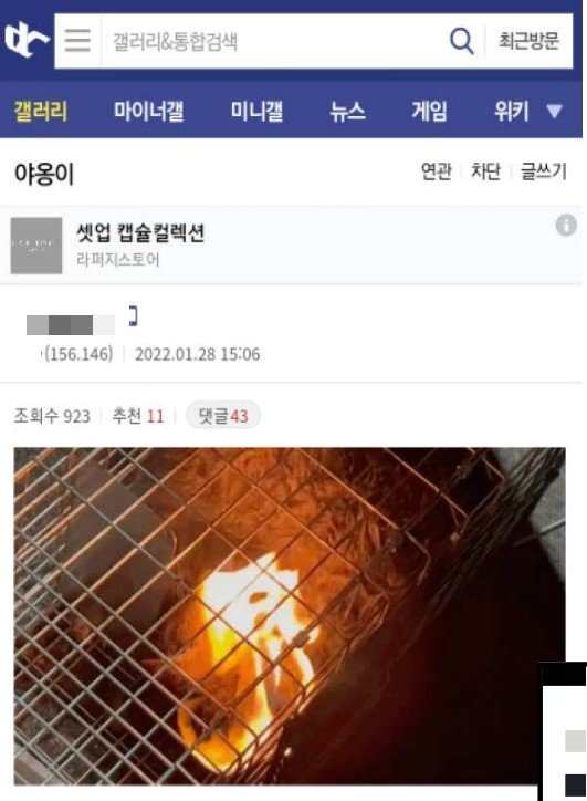 디씨인사이드 야옹이 갤러리 역대만행정리 (잔인함 주의) 사진 | 인스티즈