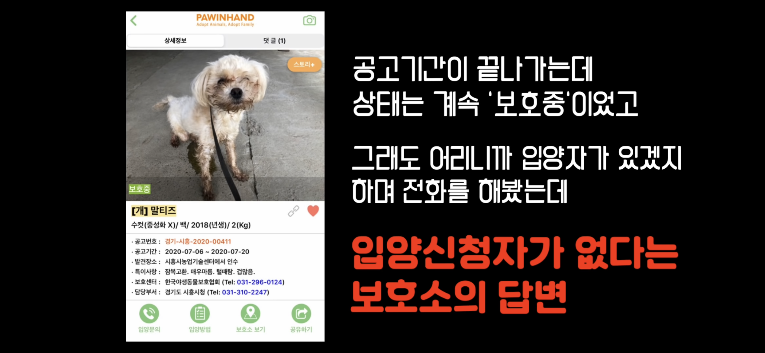 "공고번호 411번" 강아지가 입양되기 전 후 모습.jpgif | 인스티즈