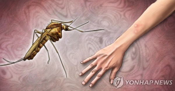 한여름보다 훨씬 급증한 요즘 가을모기 ;;; | 인스티즈