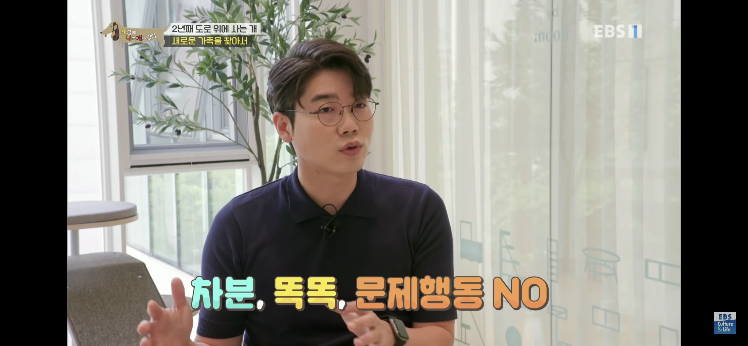 2년동안 도로 위에서 위험하게 생활했던 유기견 마루 | 인스티즈