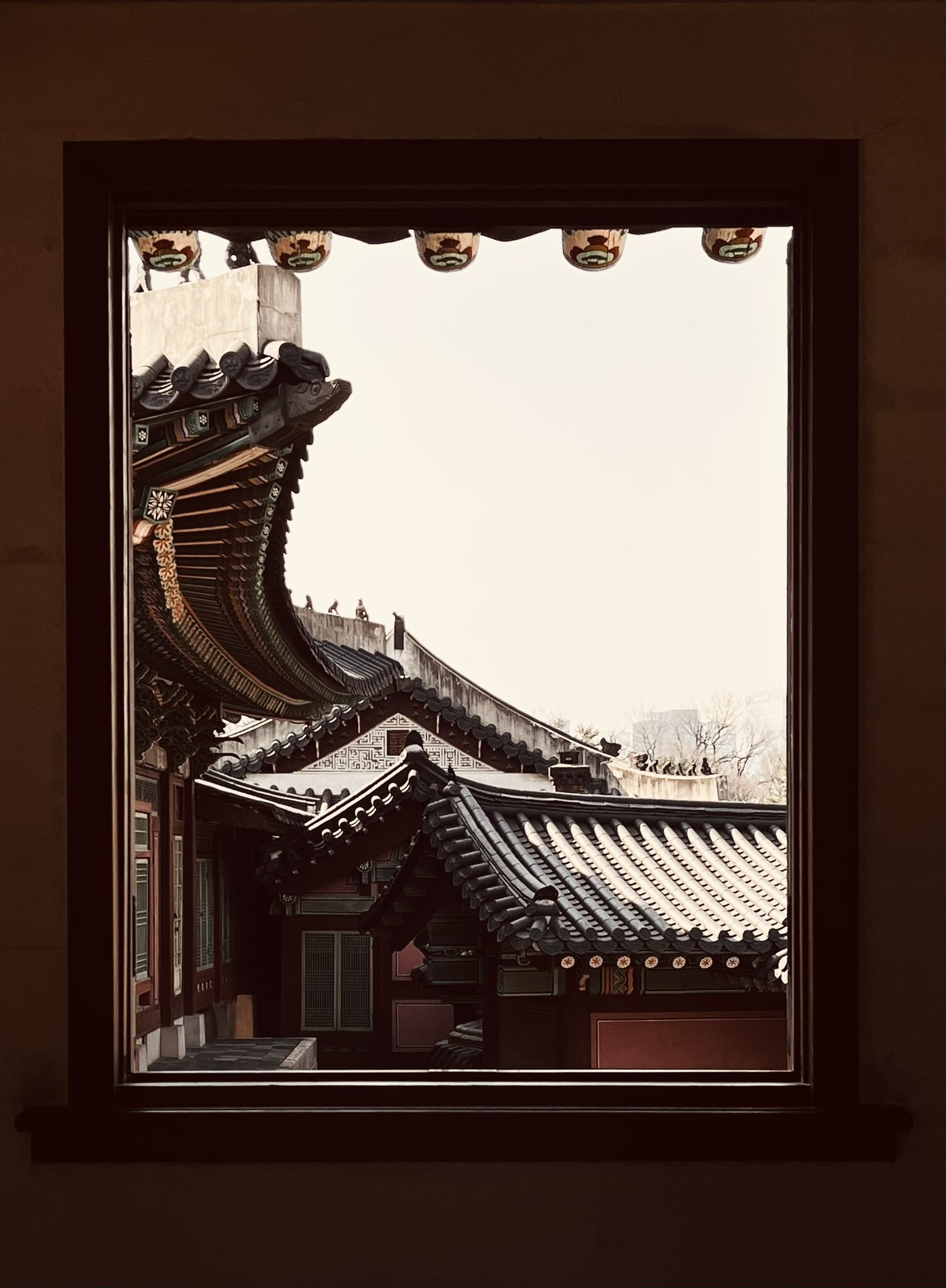 올해 가장 예뻤던 우리나라 문화재 사진 모음.twt | 인스티즈