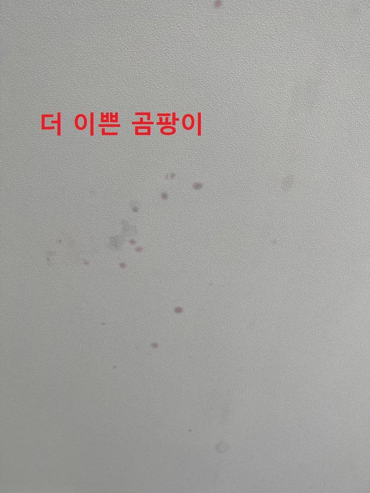 요즘 신축 아파트 이정도는 기본 이죠? 구경 하세요^^ | 인스티즈