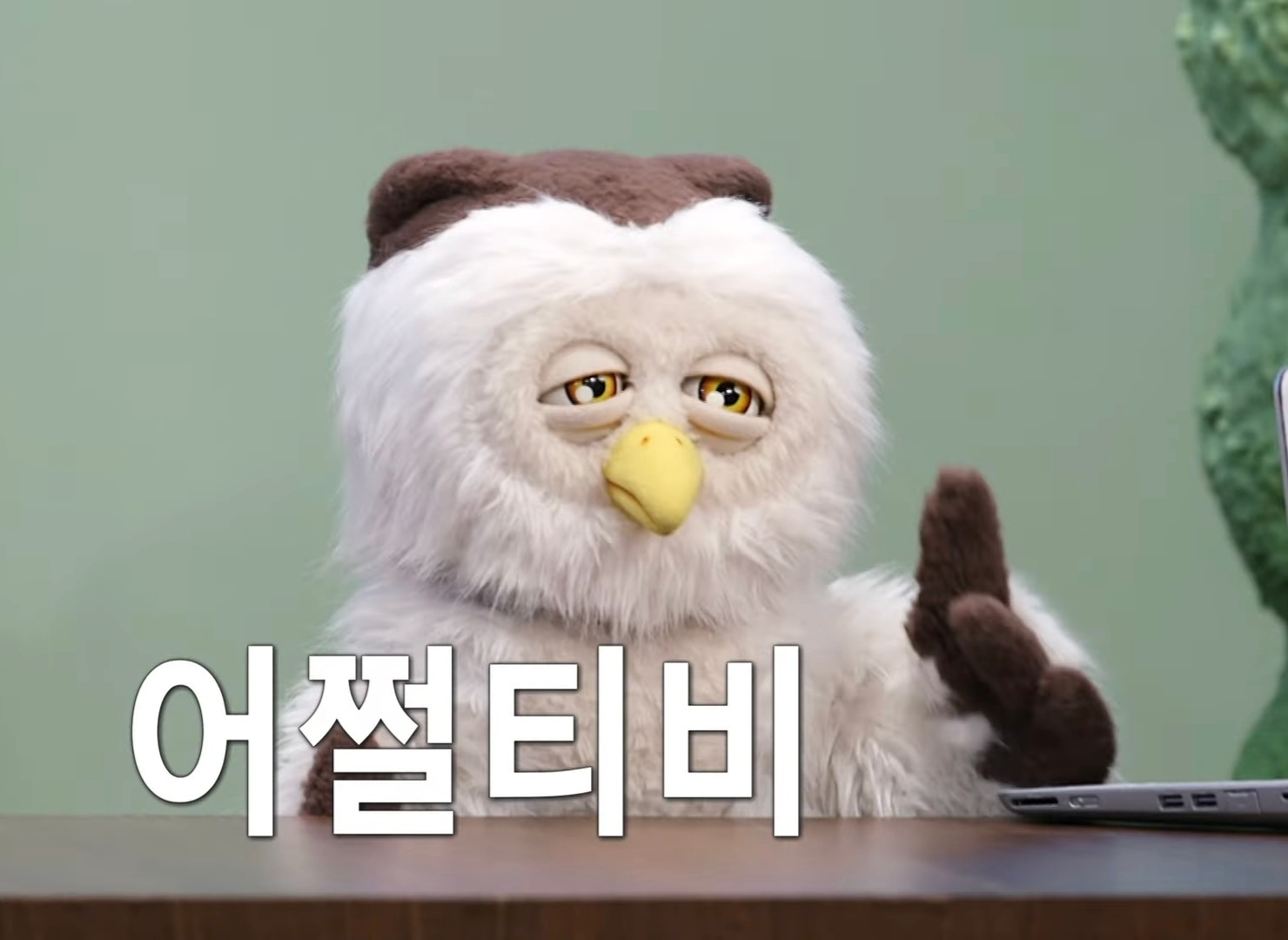 딩동댕 이미지