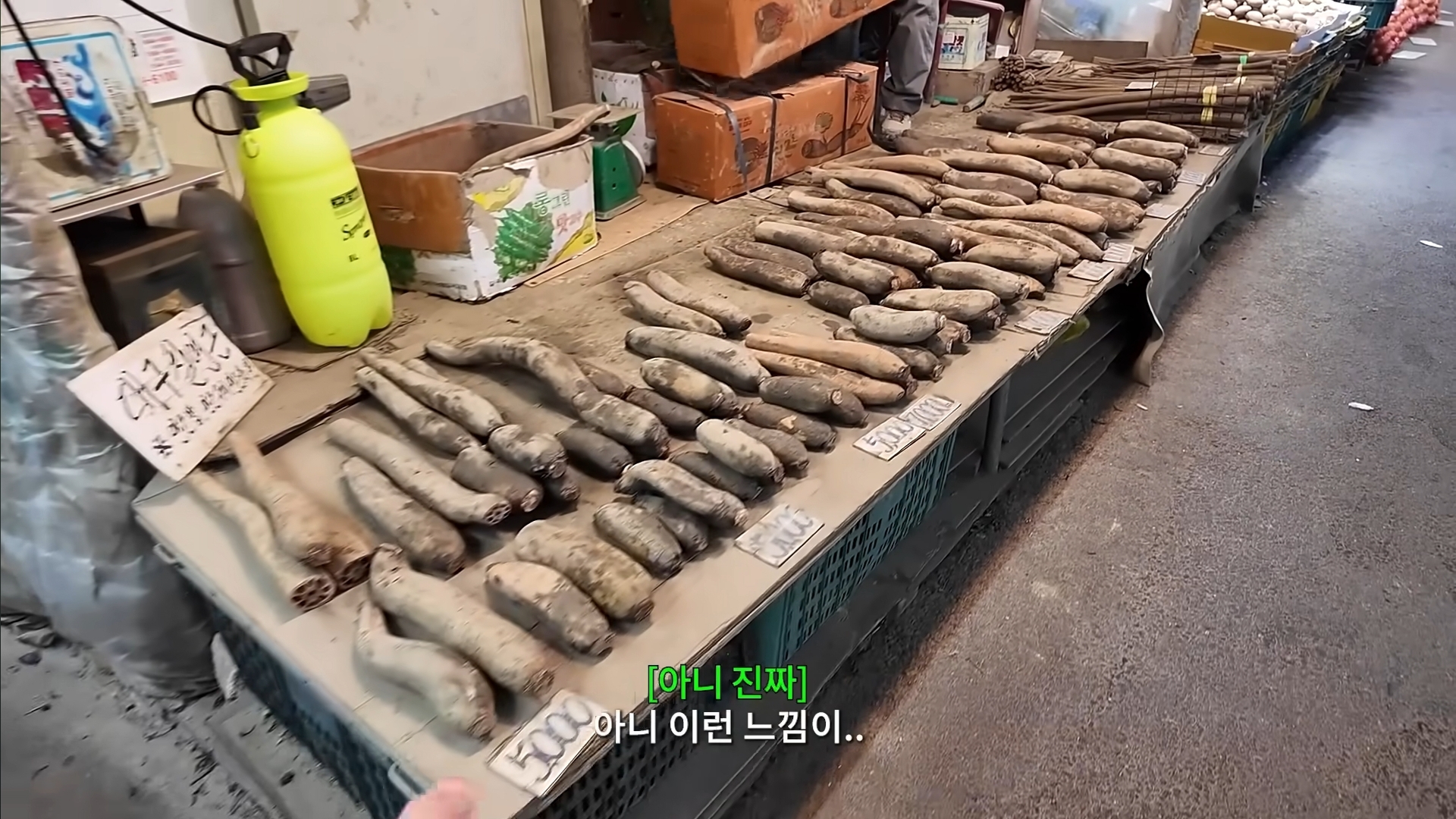 경동시장의 핀터레스트 감성에 계속 감탄하는 하말넘많 | 인스티즈