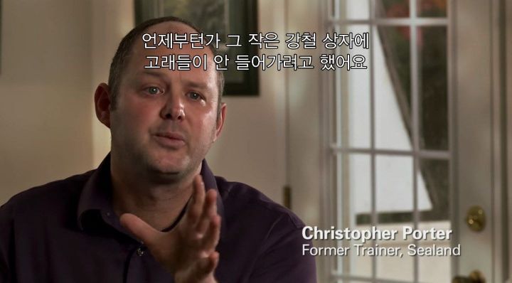 어느날 소방서에 고래가 조련사를 잡아 먹었다는 신고가 들어왔다 .jpg (스압주의) | 인스티즈