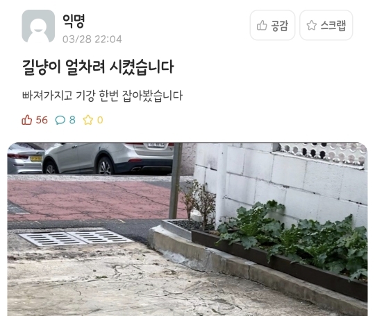 길냥이 얼차려 시켰습니다 | 인스티즈