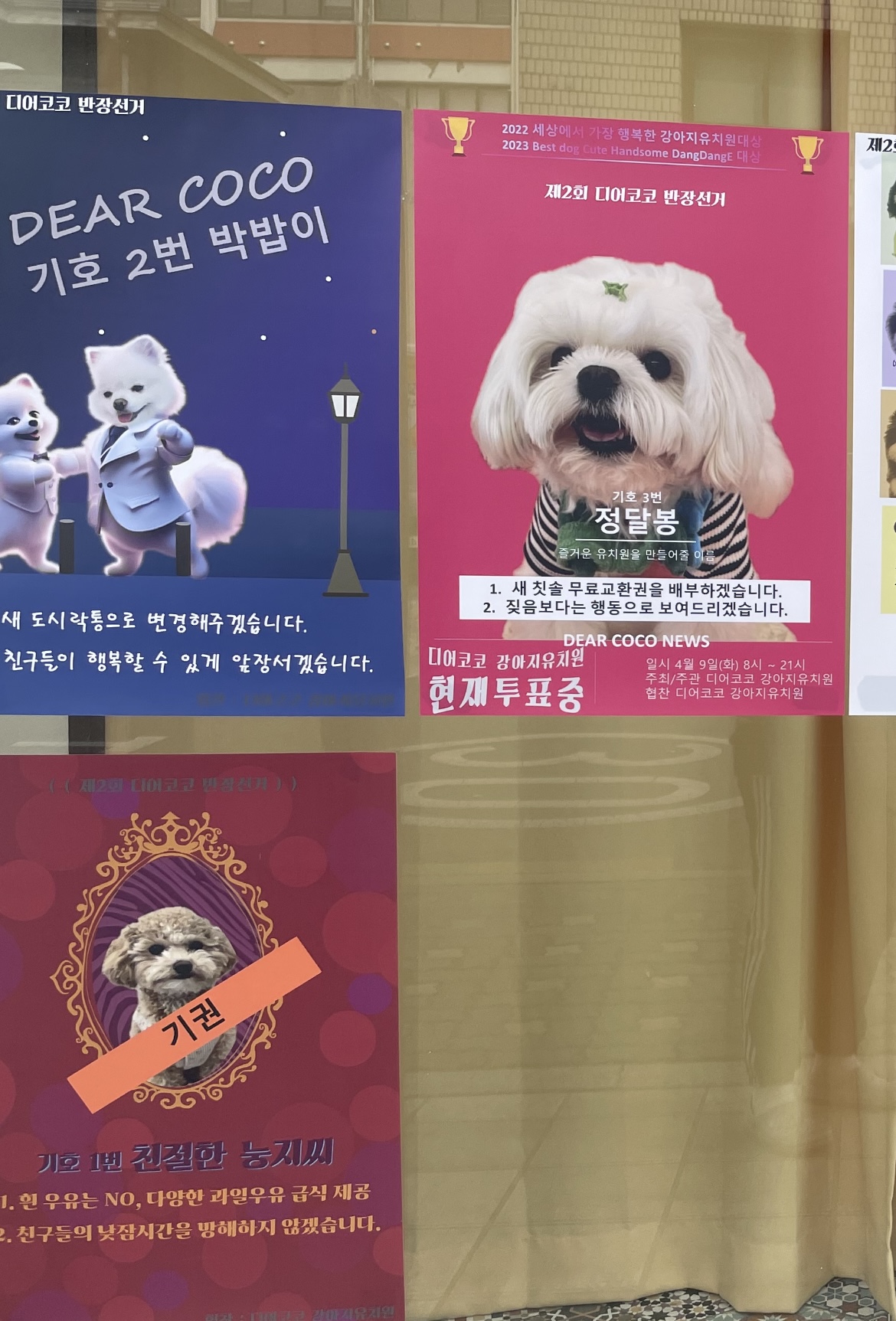 아 우리동네 강아지 유치원 투표 미쳤나봐 ㅋㅋㅋ | 인스티즈