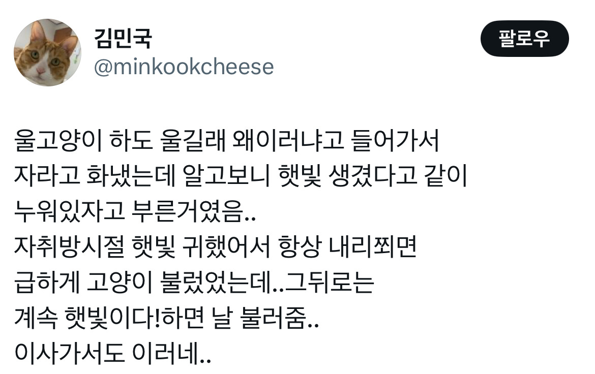 고양이가 하도울길래 왜그런가 했더니.jpg | 인스티즈