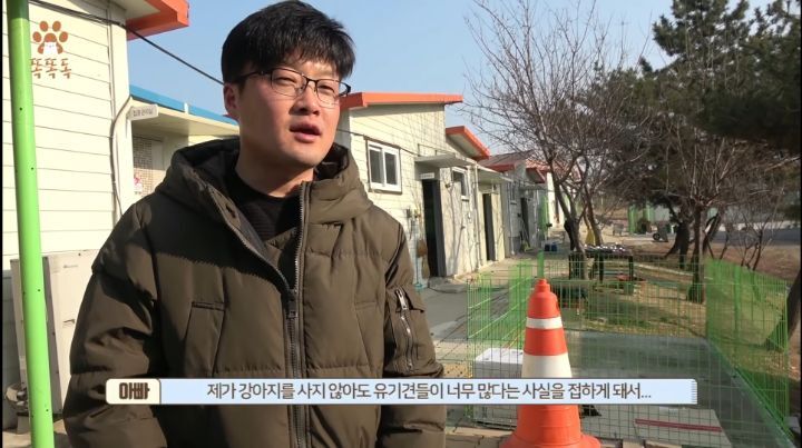 7살 아이 눈에 비친 유기견 보호소는? | 인스티즈